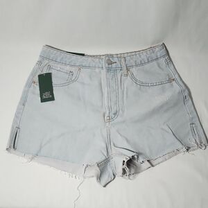 Target Light Blue Jean Shorts